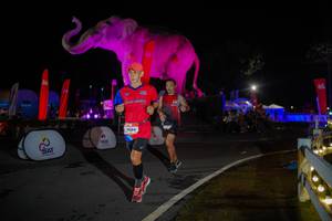 BIB: 
                            <button type="button" onclick="openModal(26551933)" class="btn btn-primary btn-sm float-right btn-popup" data-toggle="modal" data-target=".modal-high-quality">
                        <i class="fas fa-shopping-cart"></i> Add to Cart
                    </button>
                                            <button type="button" onclick="isThisMe(26551933, true)" class="btn btn-success btn-sm float-right btn-popup btn-isme hidden" data-toggle="tooltip" data-placement="bottom" title="นี่คือรูปของคุณใช่ไหม คลิกที่นี่เพื่อเอาเข้าอัลบั้ม">
                        <i class="fas fa-plus"></i> Add to album
                    </button>
                    <button type="button" onclick="isThisMe(26551933, false)" class="btn btn-warning btn-sm float-right btn-popup btn-isnotme hidden">
                        <i class="fas fa-ban"></i> Remove from album
                    </button>